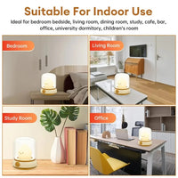 Mini Desktop Led Cute Night Lamp